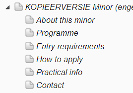 Sitestructuur minor EN