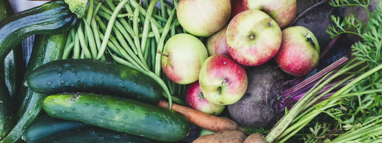 Placeholder for Fontys video