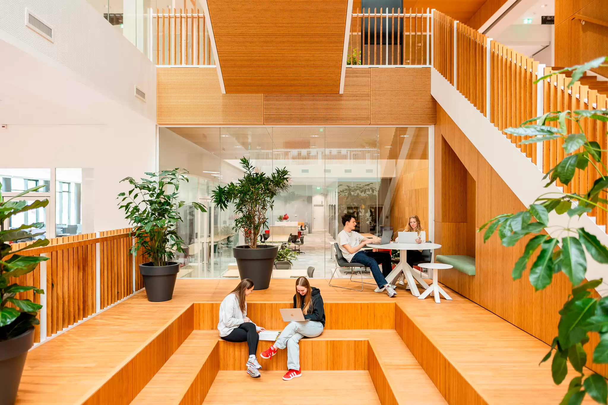 studenten van de ad sociaal werk zitten op school en zijn aan het studeren