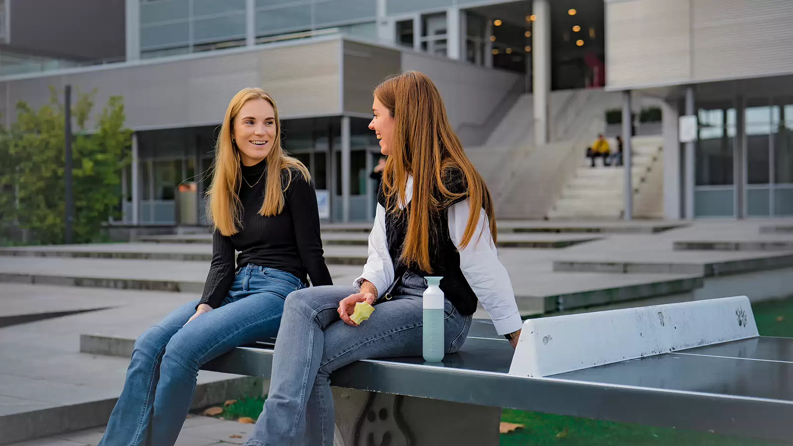 Placeholder for Fontys video