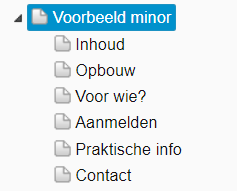 Sitestructuur minor NL