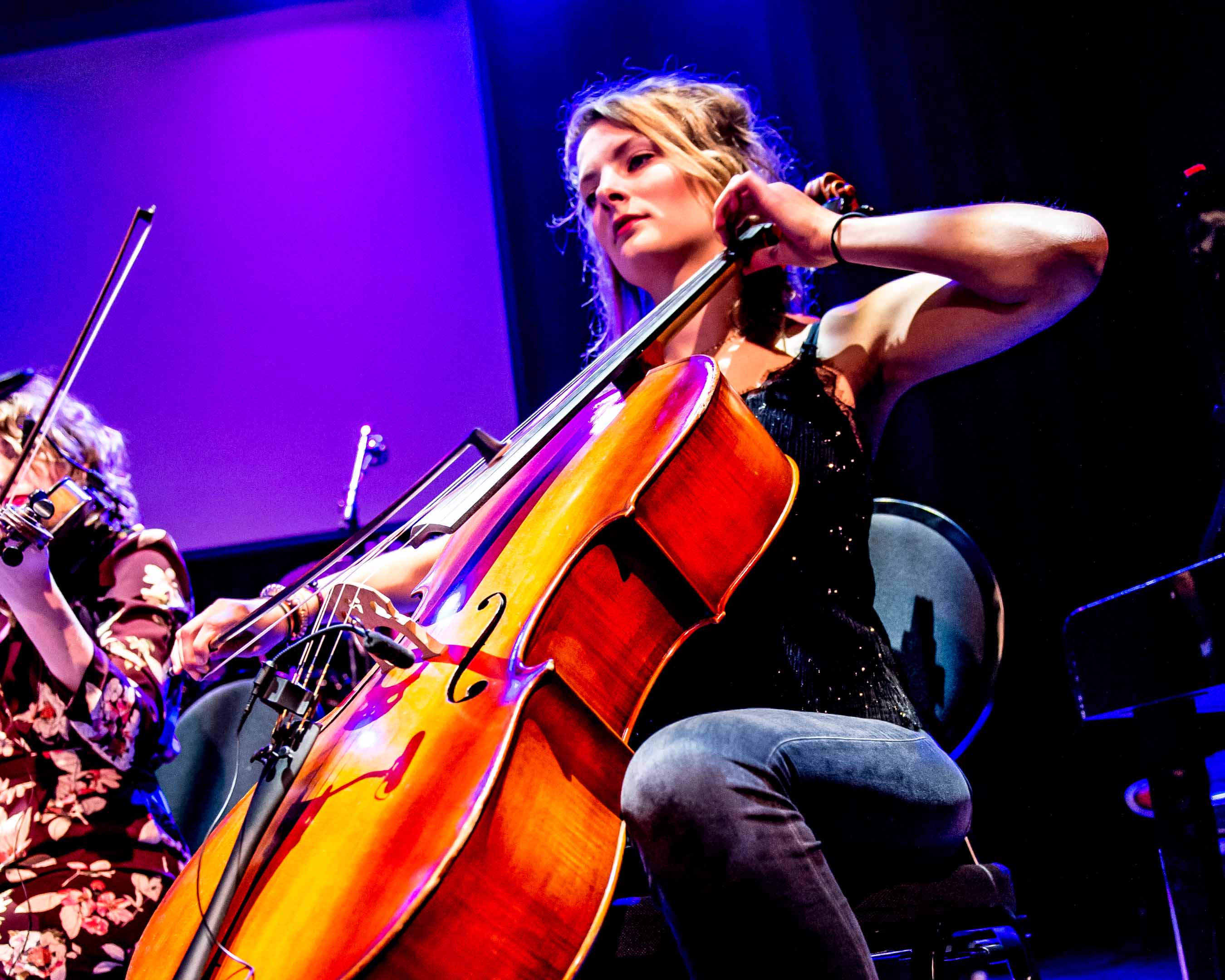 sfeerafbeelding vioolles