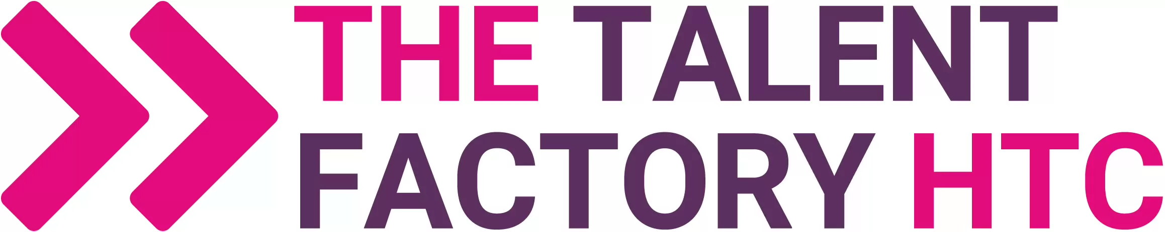 The Talent Factory