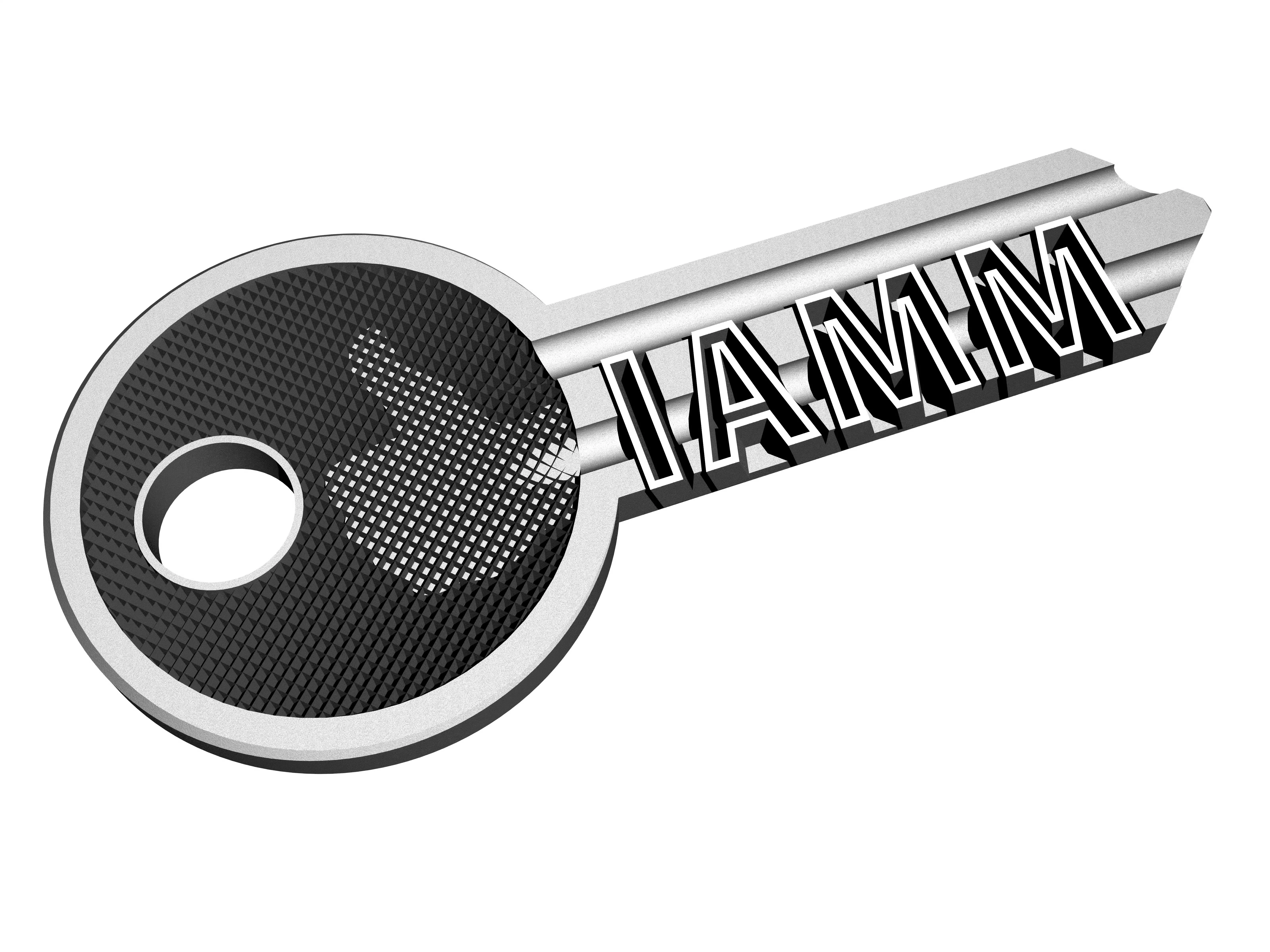 Logo IAMM