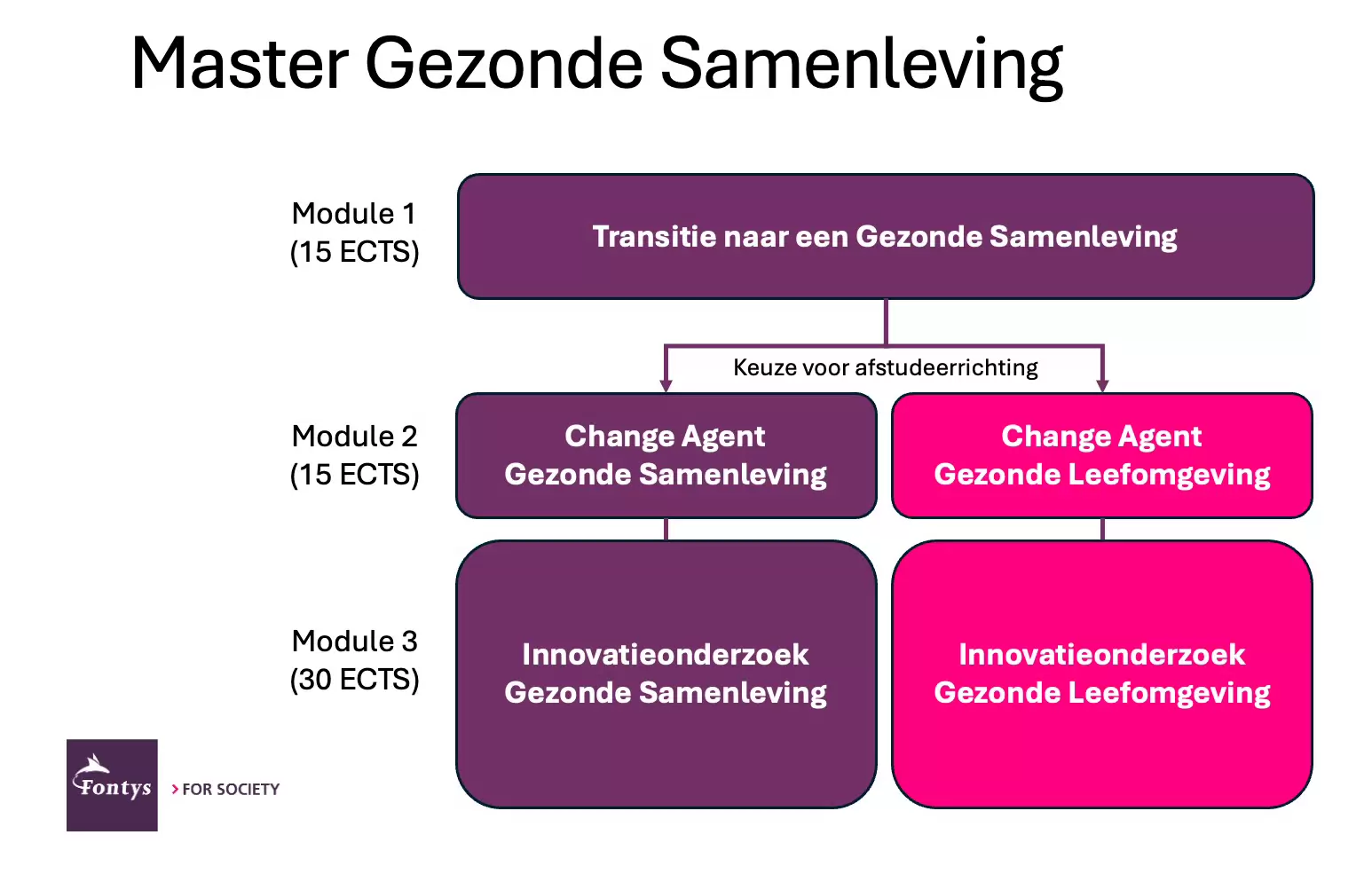 overzicht master gezonde samenleving