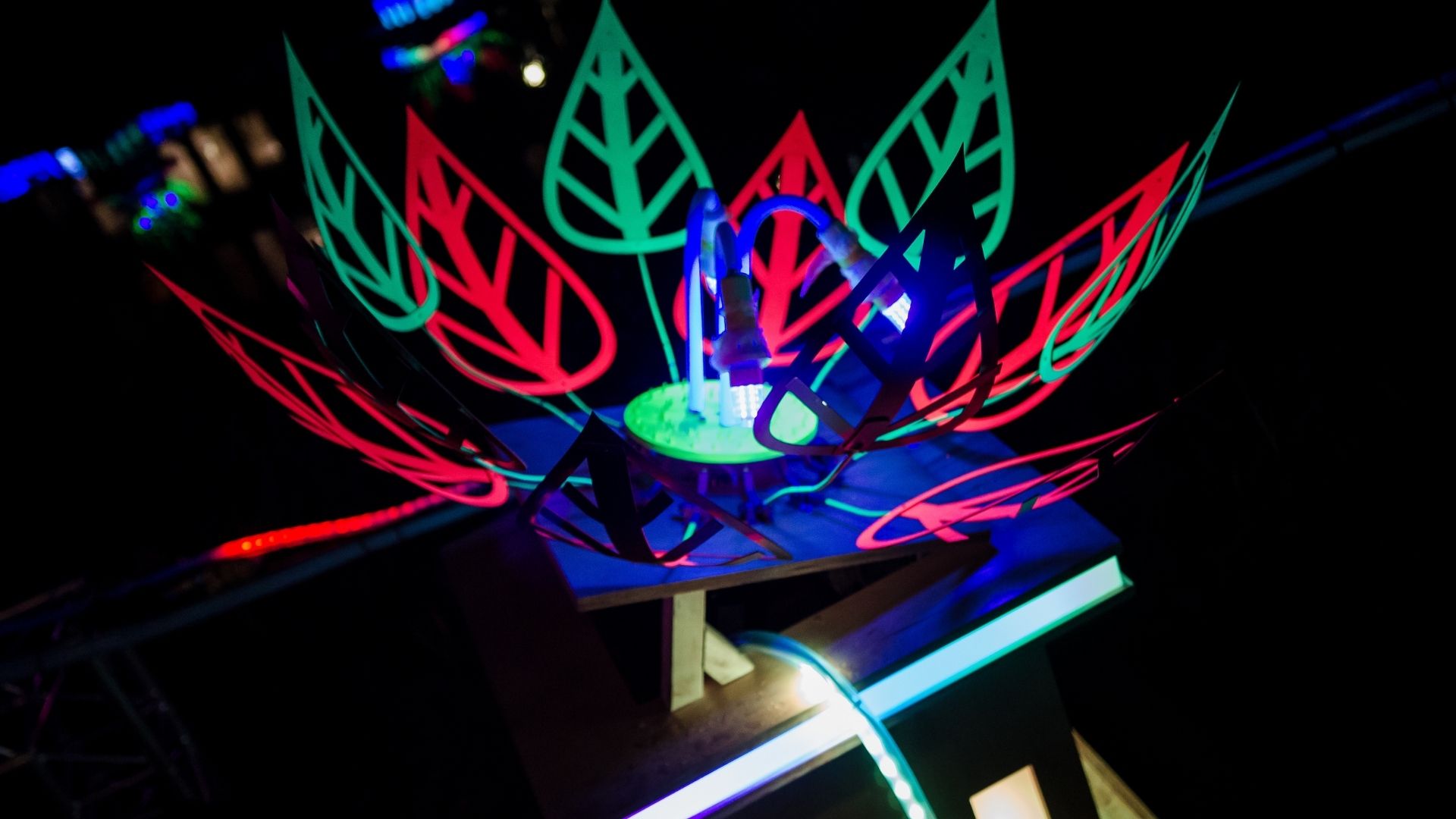 Picture project glow flower