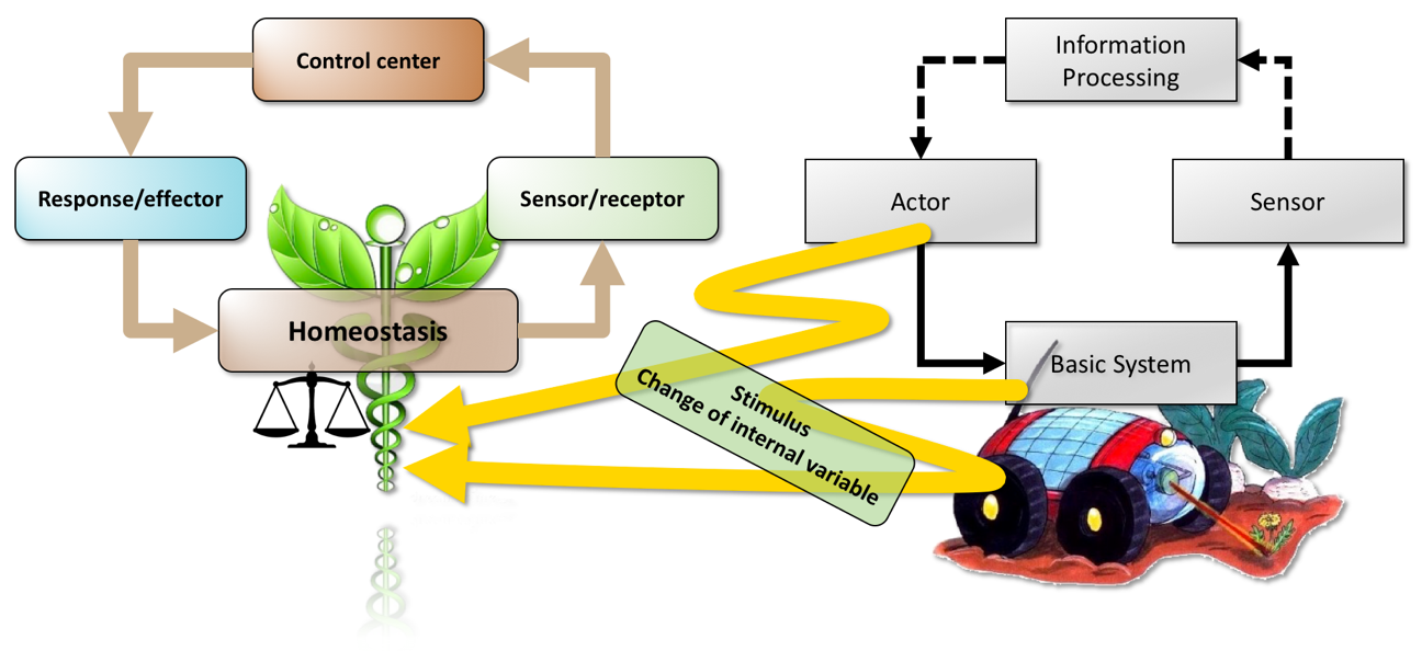 Figure 1: Connection between the worlds