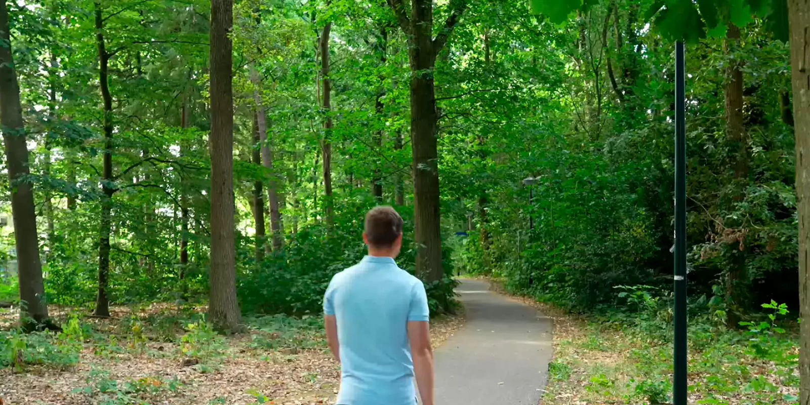 Placeholder for Fontys video
