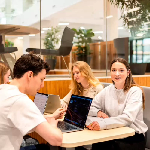 Drie studenten van de opleiding Social Work aan een tafel met labtops, ze zijn bezig met projectwerk.