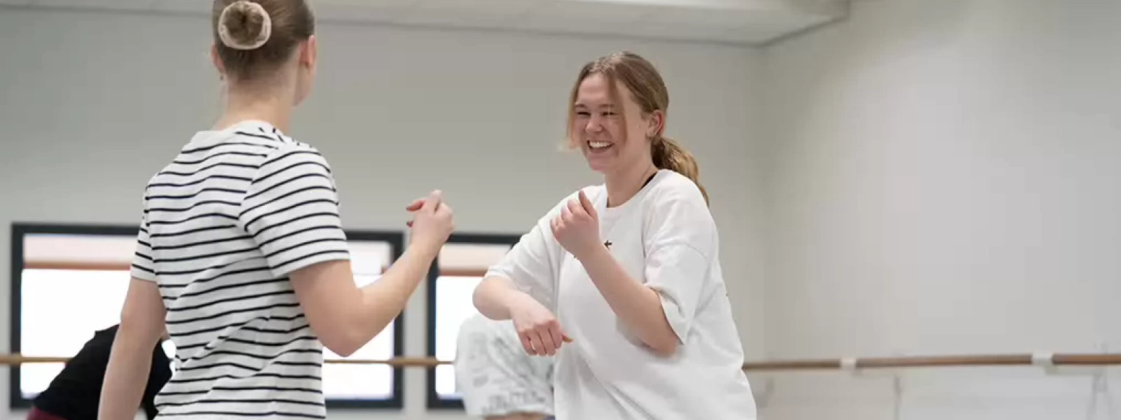 Placeholder for Fontys video