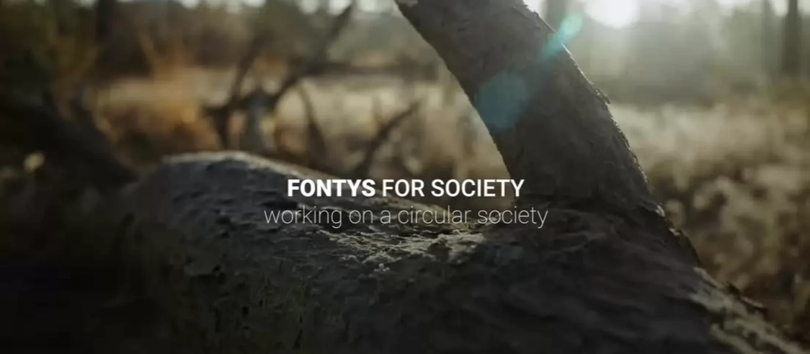 Placeholder for Fontys video