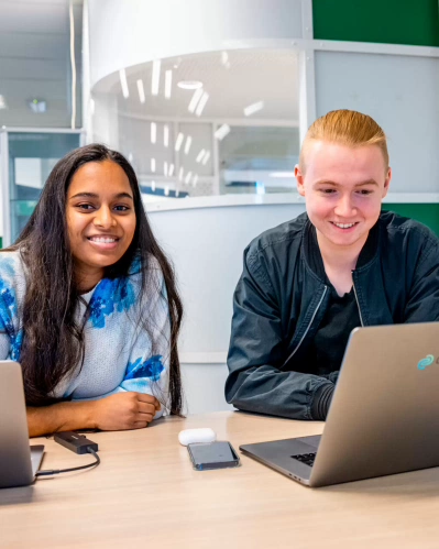Information technology students